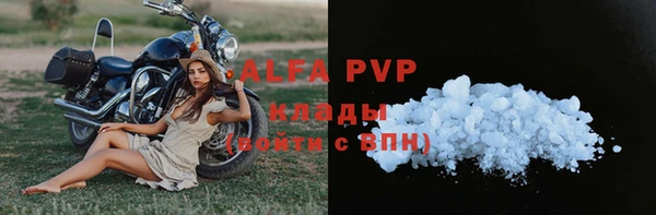 прущие грибы Беслан