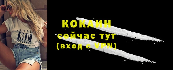 первитин Новодвинск