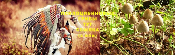 ALPHA-PVP Новозыбков
