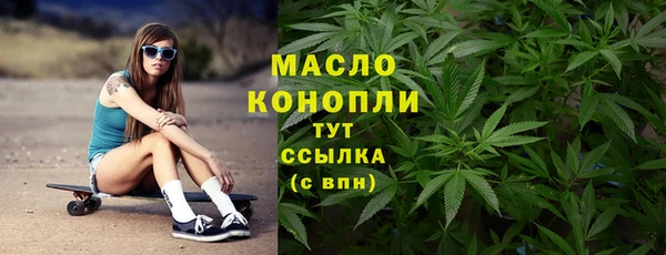 первитин Новодвинск