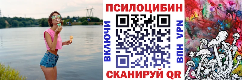 где купить наркотик Азнакаево Галлюциногенные грибы Psilocybe