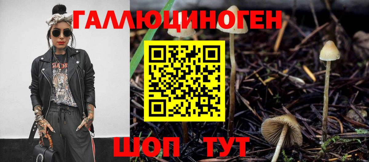 Псилоцибиновые грибы Magic Shrooms Азнакаево